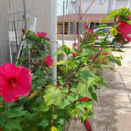 Casa Armonia Dikella