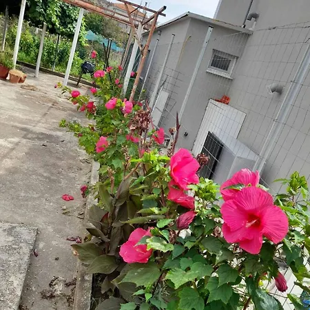 Σπίτι διακοπών Casa Armonia