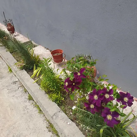 Σπίτι διακοπών Casa Armonia *