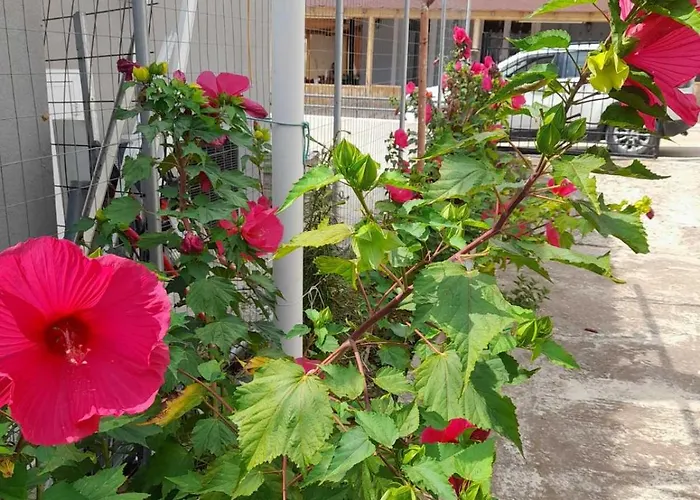 Casa Armonia Dikella