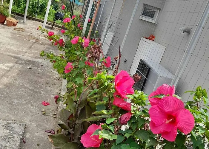 Σπίτι διακοπών Casa Armonia