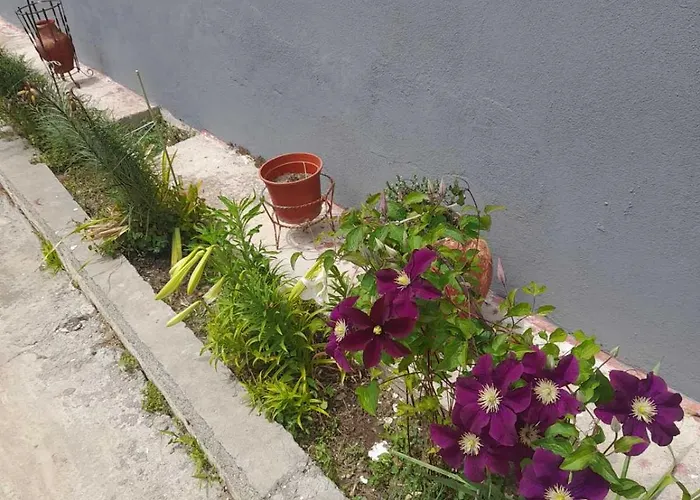 Σπίτι διακοπών Casa Armonia *